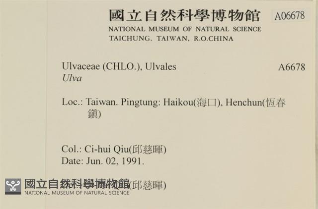 登錄號:A00006678藏品圖，第2張