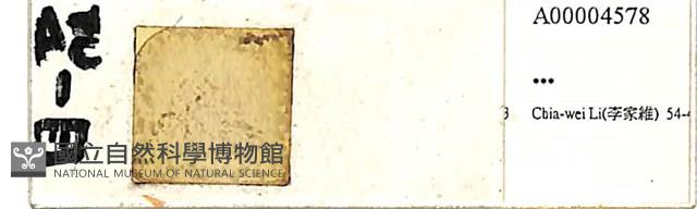 登錄號:A00004578藏品圖，第1張