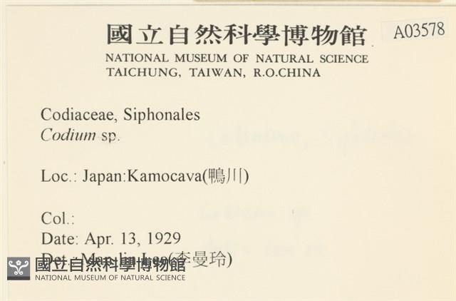 登錄號:A00003578藏品圖，第2張