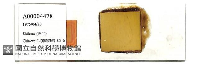 登錄號:A00004478藏品圖，第1張