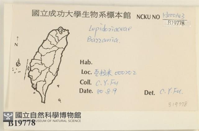 登錄號:B00019778藏品圖，第2張
