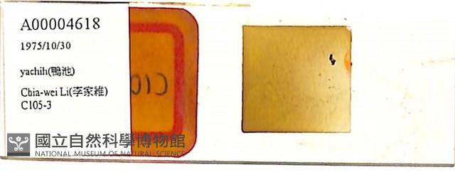 登錄號:A00004618藏品圖，第1張