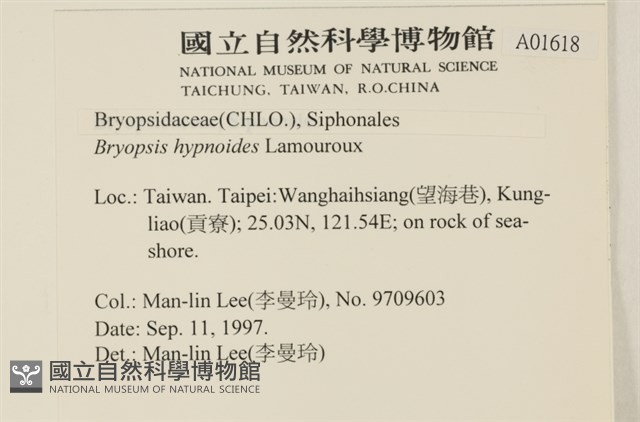 登錄號:A00001618藏品圖，第2張