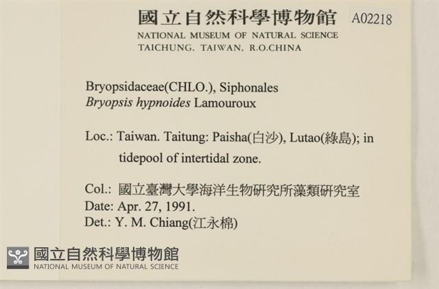 登錄號:A00002218藏品圖，第2張