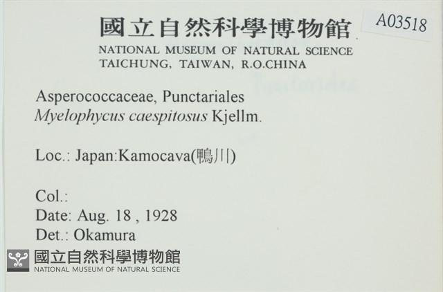 登錄號:A00003518藏品圖，第2張