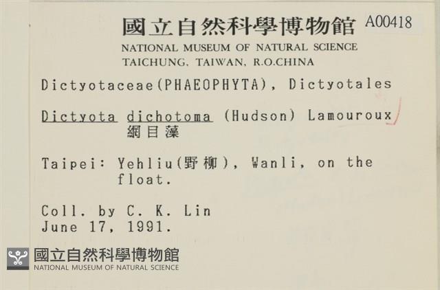 網目藻藏品圖，第2張