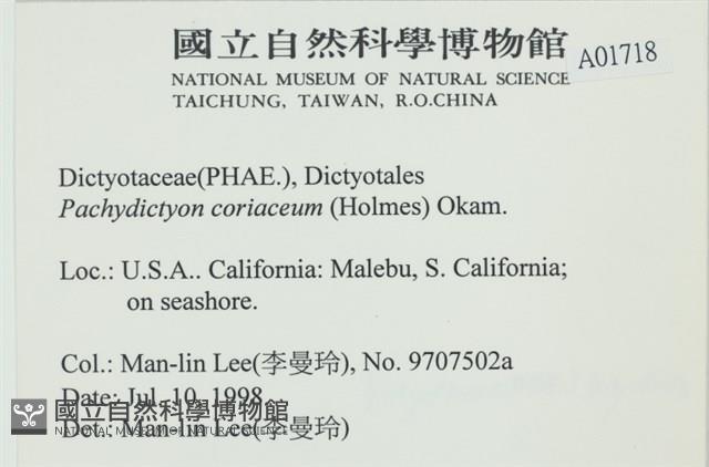 厚網目藻藏品圖，第2張