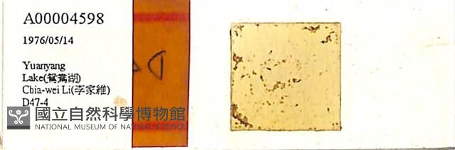 登錄號:A00004598藏品圖，第1張