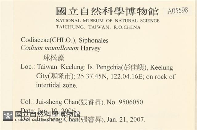 登錄號:A00005598藏品圖，第2張