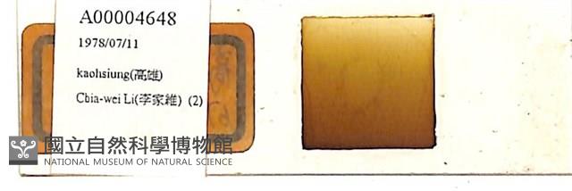 館號:A00004648藏品圖，第1張