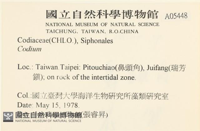 登錄號:A00005448藏品圖，第1張
