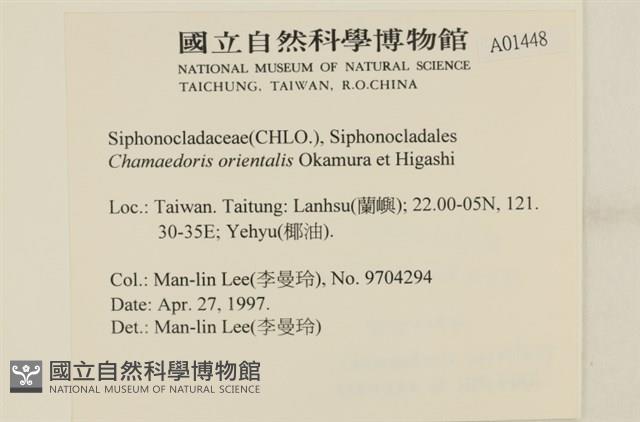 登錄號:A00001448藏品圖，第2張