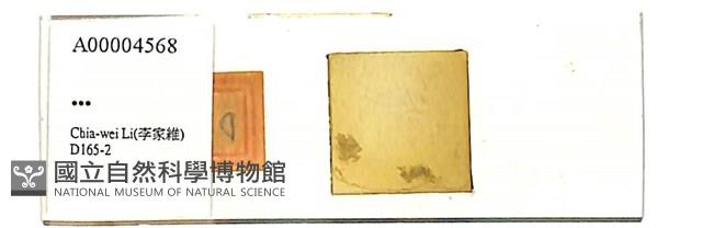 館號:A00004568藏品圖，第1張