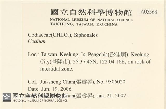 登錄號:A00005568藏品圖，第2張