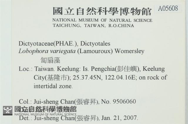 登錄號:A00005608藏品圖，第2張