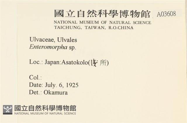 登錄號:A00003608藏品圖，第2張