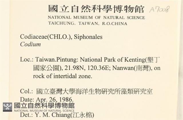 登錄號:A00007008藏品圖，第2張