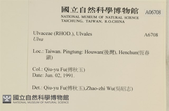 登錄號:A00006708藏品圖，第2張