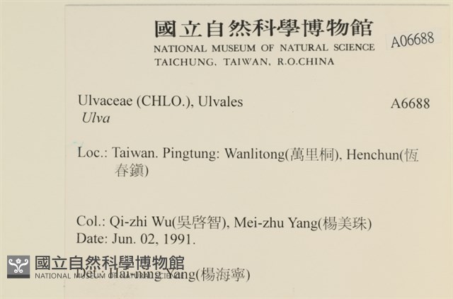 登錄號:A00006688藏品圖，第2張