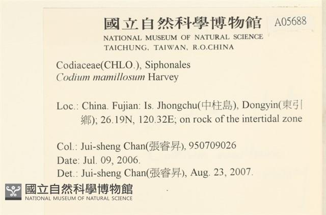 登錄號:A00005688藏品圖，第2張