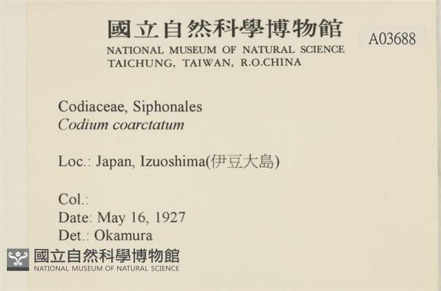 登錄號:A00003688藏品圖，第2張