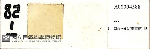 登錄號:A00004588藏品圖，第1張
