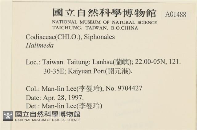 登錄號:A00001488藏品圖，第2張