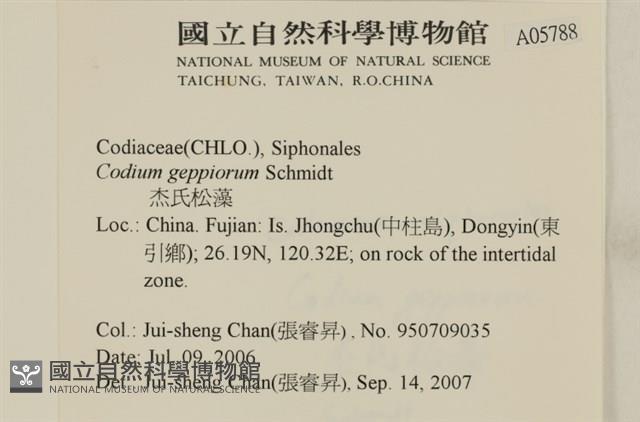 登錄號:A00005788藏品圖，第2張