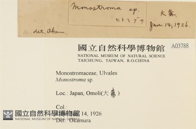 登錄號:A00003788藏品圖，第2張