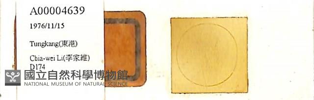 登錄號:A00004639藏品圖，第1張
