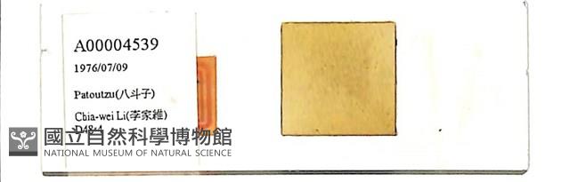 登錄號:A00004539藏品圖，第1張