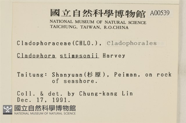登錄號:A00000539藏品圖，第2張