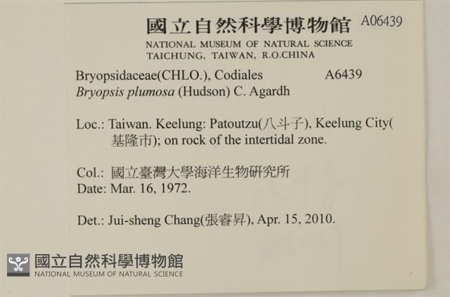 登錄號:A00006439藏品圖，第2張