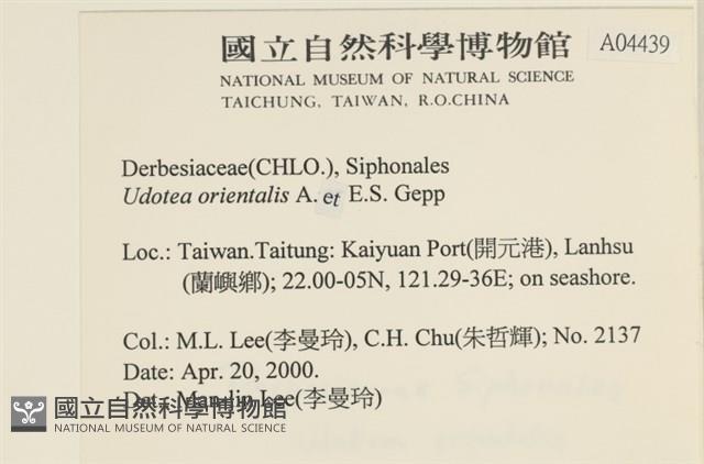 登錄號:A00004439藏品圖，第2張