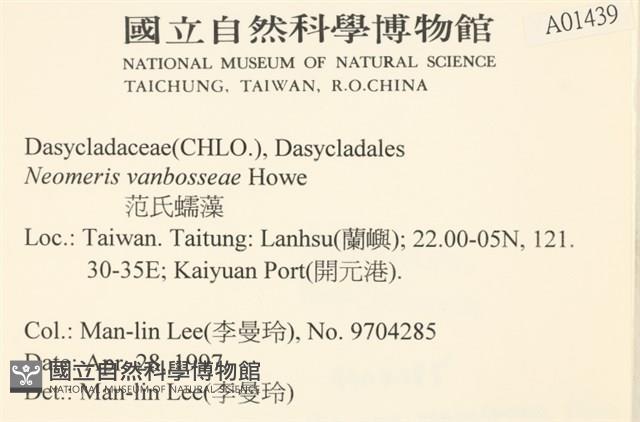 范氏蠕藻藏品圖，第2張