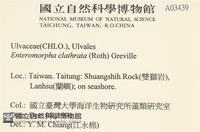 登錄號:A00003439藏品圖，第2張