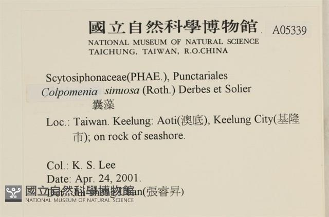 登錄號:A00005339藏品圖，第2張