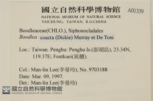 登錄號:A00001339藏品圖，第2張