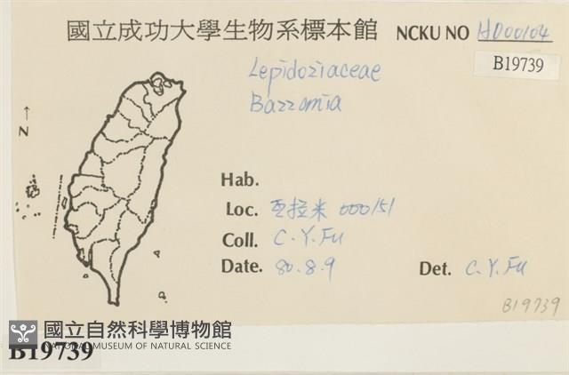 登錄號:B00019739藏品圖，第2張