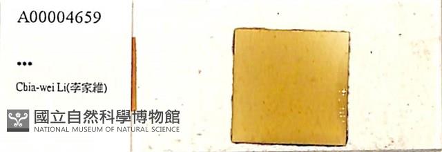 登錄號:A00004659藏品圖，第1張