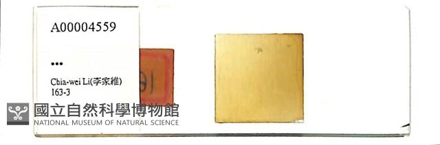 登錄號:A00004559藏品圖，第1張