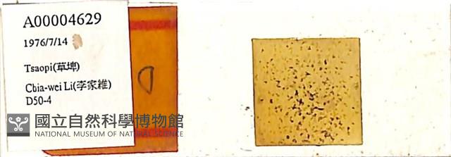 登錄號:A00004629藏品圖，第1張