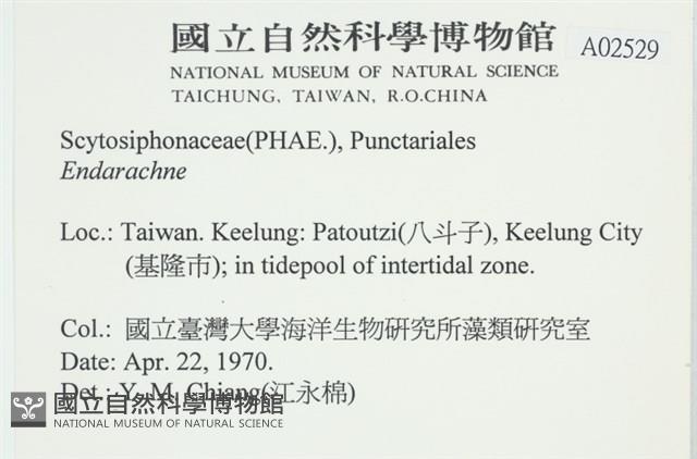 登錄號:A00002529藏品圖，第2張