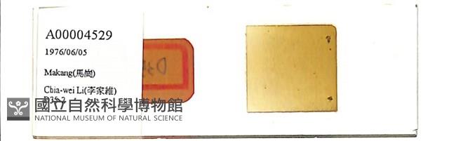 登錄號:A00004529藏品圖，第1張
