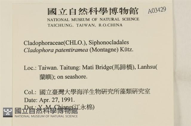 登錄號:A00003429藏品圖，第2張