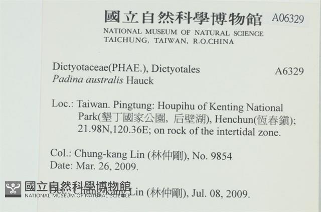 南方團扇藻藏品圖，第2張