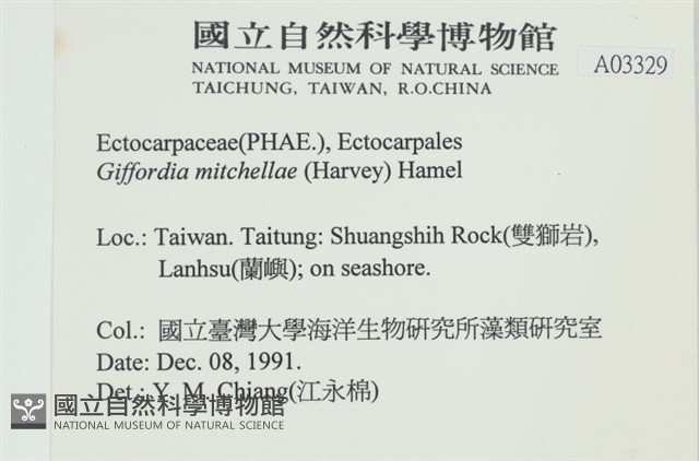 登錄號:A00003329藏品圖，第2張
