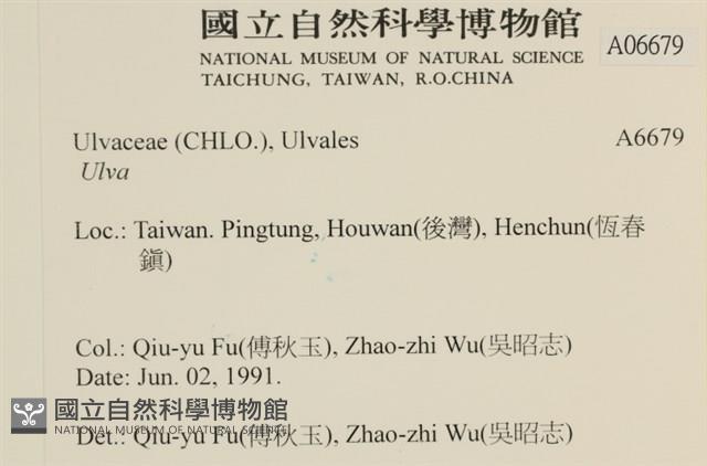 登錄號:A00006679藏品圖，第2張