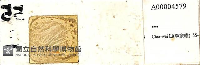 登錄號:A00004579藏品圖，第1張