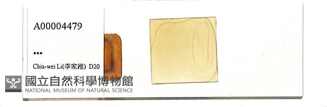 登錄號:A00004479藏品圖，第1張